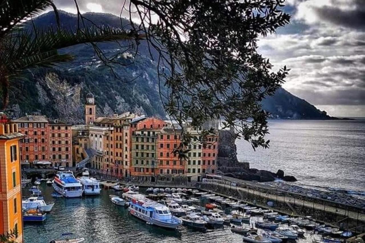 Rosablu vacanza tra mare e Parco di Portofino Camogli Esterno foto