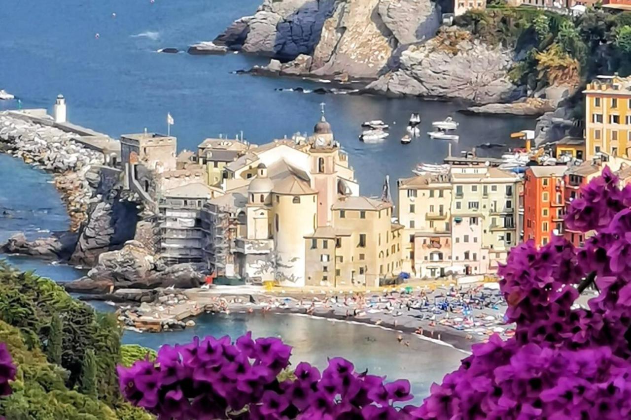 Rosablu vacanza tra mare e Parco di Portofino Camogli Esterno foto