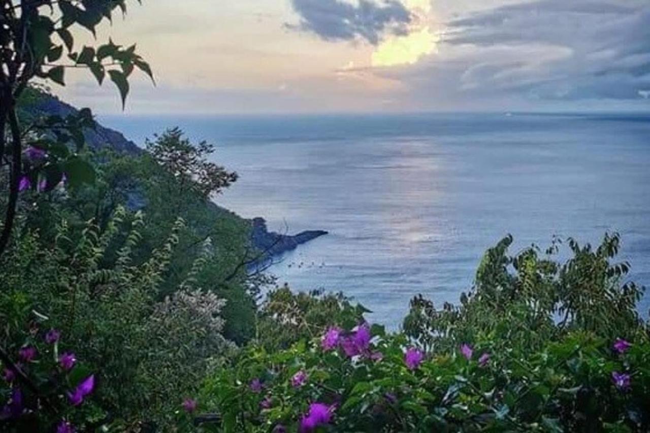 Rosablu vacanza tra mare e Parco di Portofino Camogli Esterno foto