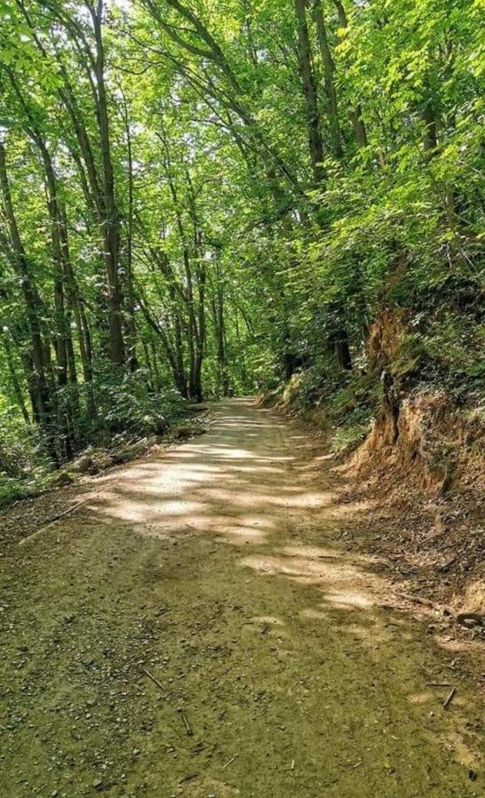 Rosablu vacanza tra mare e Parco di Portofino Camogli Esterno foto