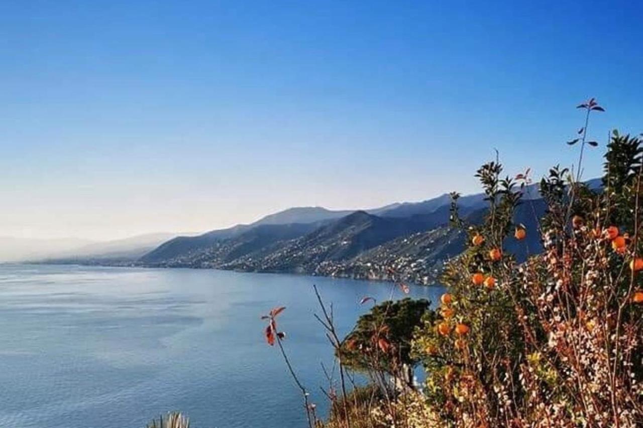 Rosablu vacanza tra mare e Parco di Portofino Camogli Esterno foto